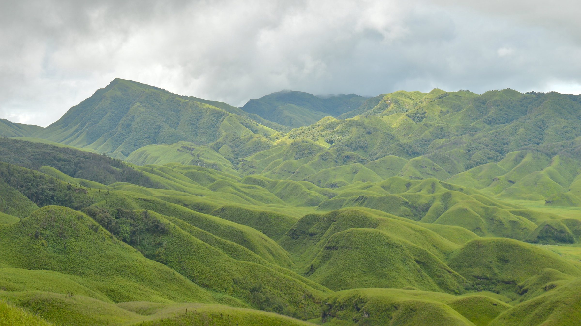 Misty green hills of Dzükou Valley on the Nagaland–Manipur border